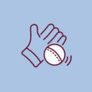 ROSEVILLE_Icons_Cricket